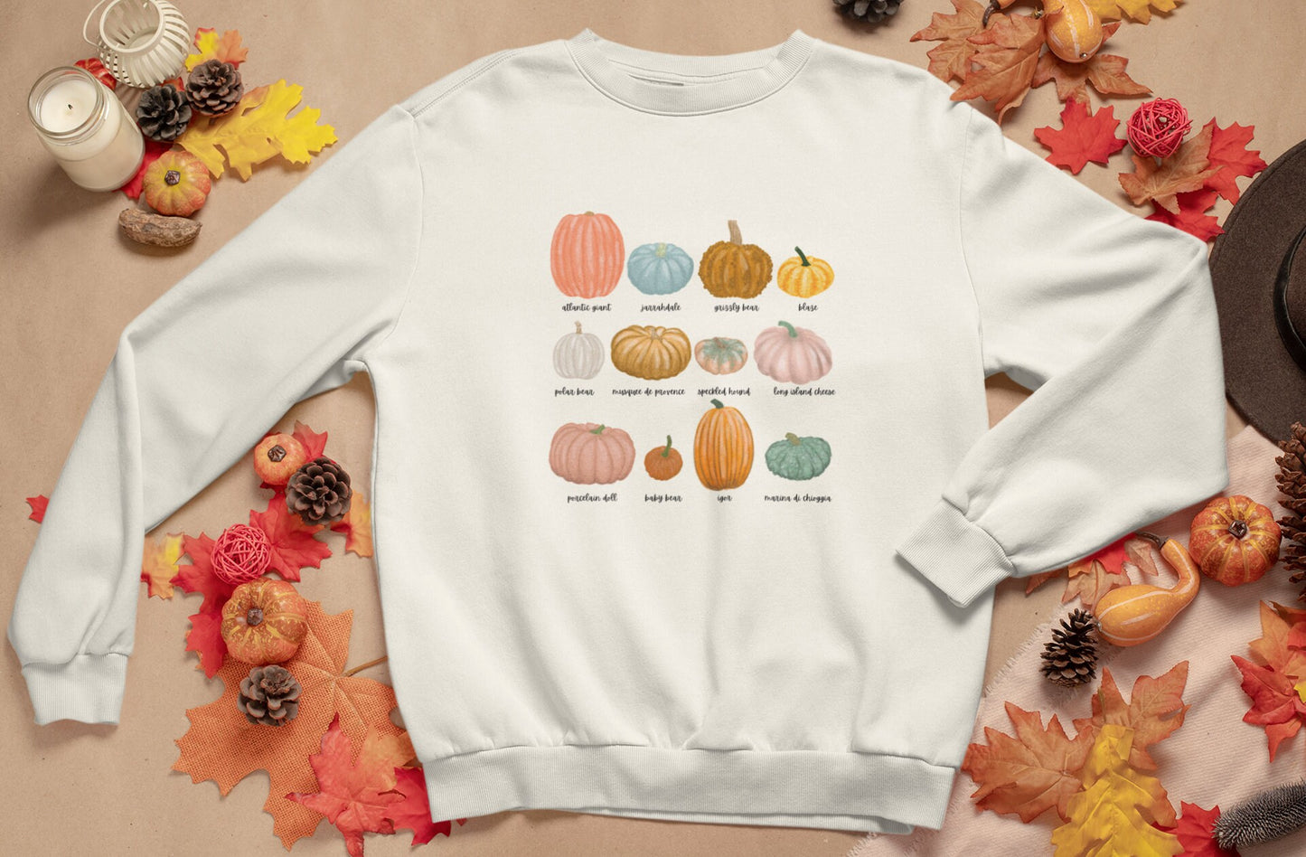 Pumpkin Patch Sweatshirt Pumpkin Crewneck Pumpkin Variety Sweatshirt Fall Crewneck Pumpkin pullover Halloween pumpkin sweatshirt