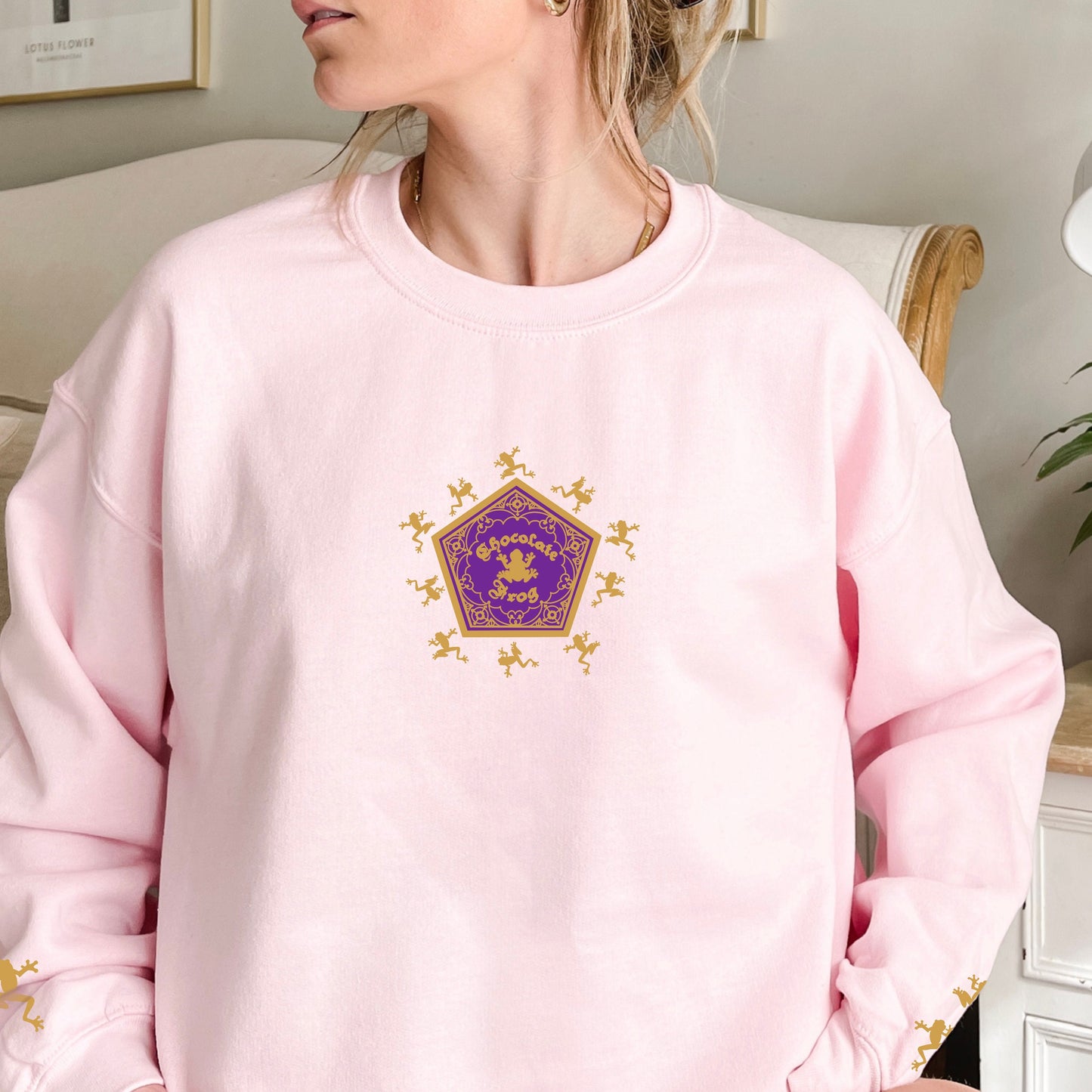 Chocolate Frog Embroidered Sweatshirt Wizard Crewneck Gift for Readers and Wizard World Lover